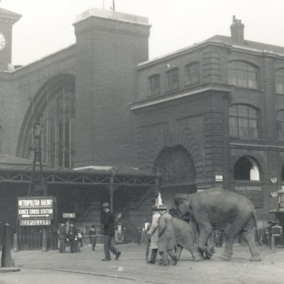 Elephants walking from the docks passing Kings Cross station on the way to ZSL London Zoo, September 1927 by Frederick William Bond